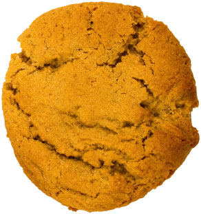 Ginger Molasses cookie