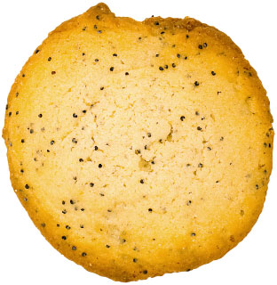 Lemon Poppyseed cookie